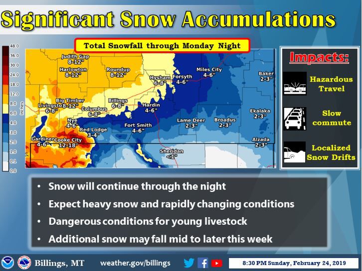 snow 4.JPG
